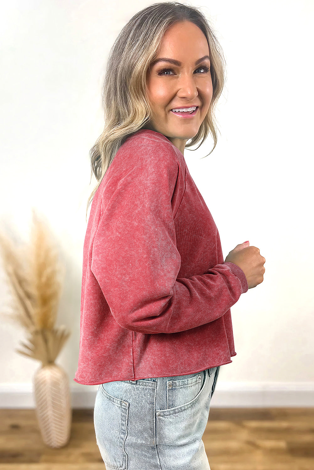 Ailany Crop Sweatshirt