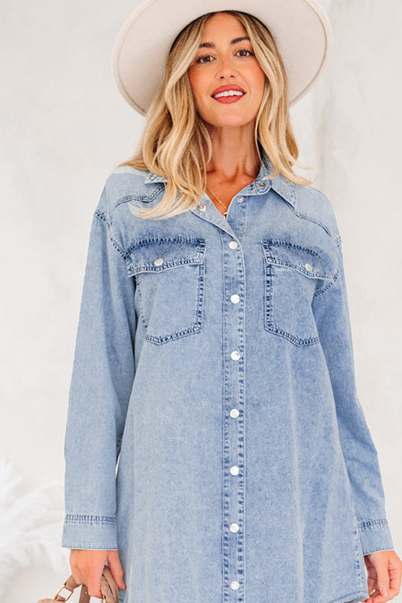 Celeste Denim Dress