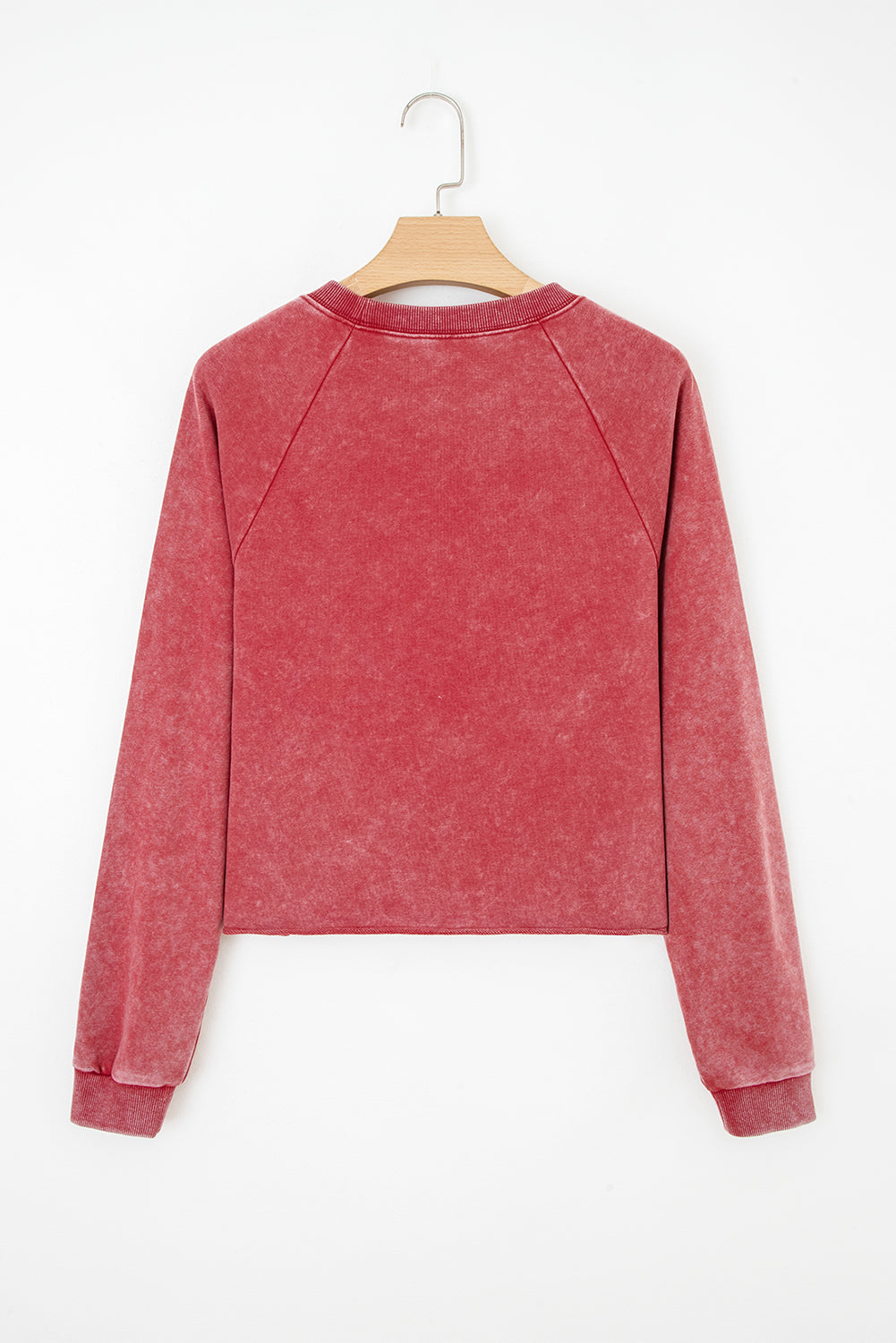 Ailany Crop Sweatshirt