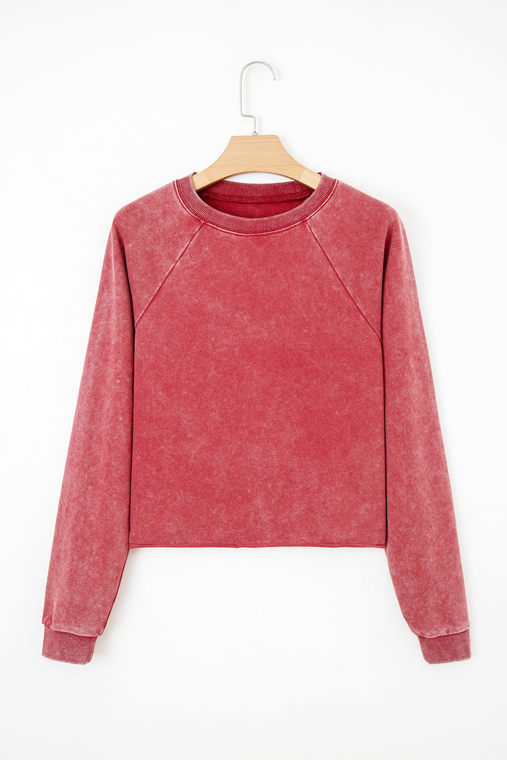 Ailany Crop Sweatshirt